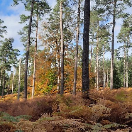 Au Coin Des Fagnes Daire Jalhay Dış mekan fotoğraf