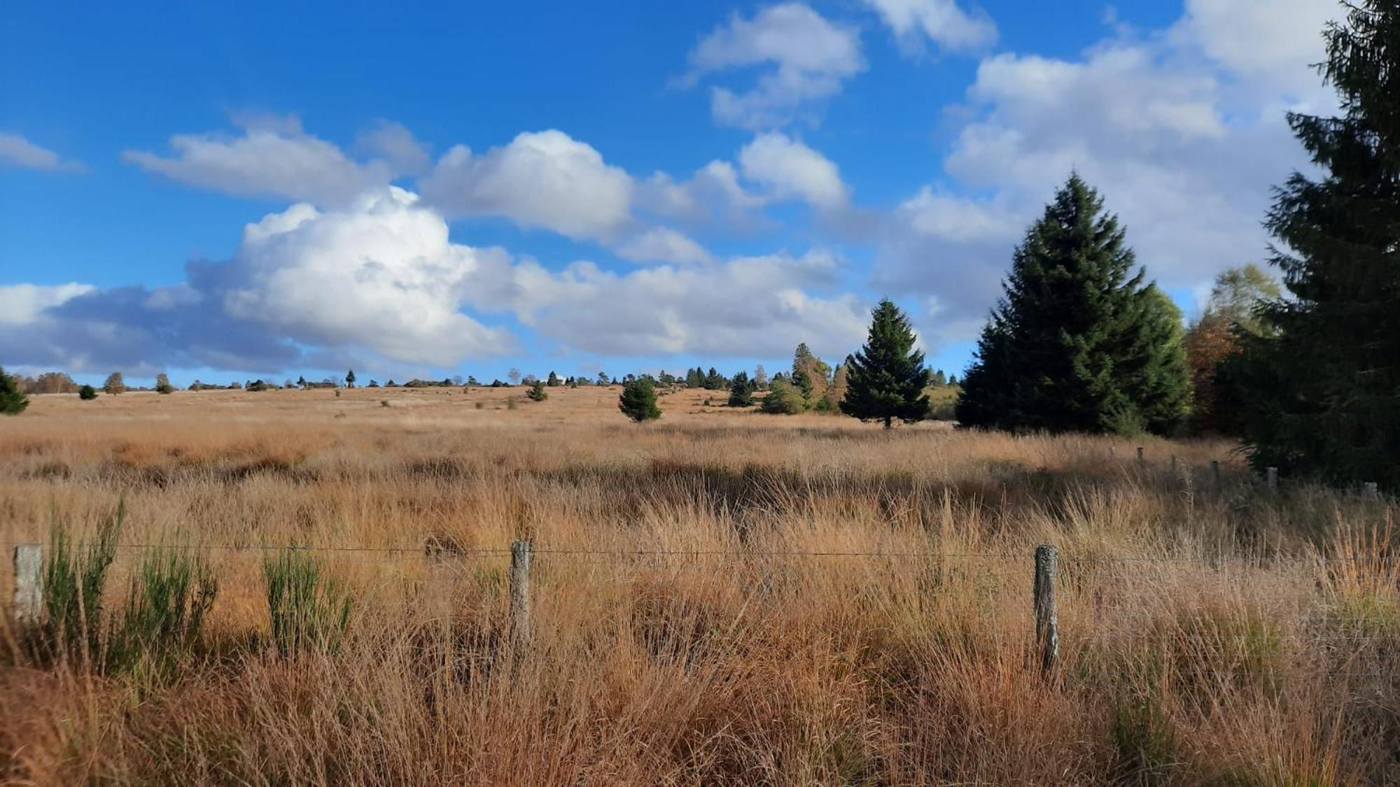 Au Coin Des Fagnes Daire Jalhay Dış mekan fotoğraf