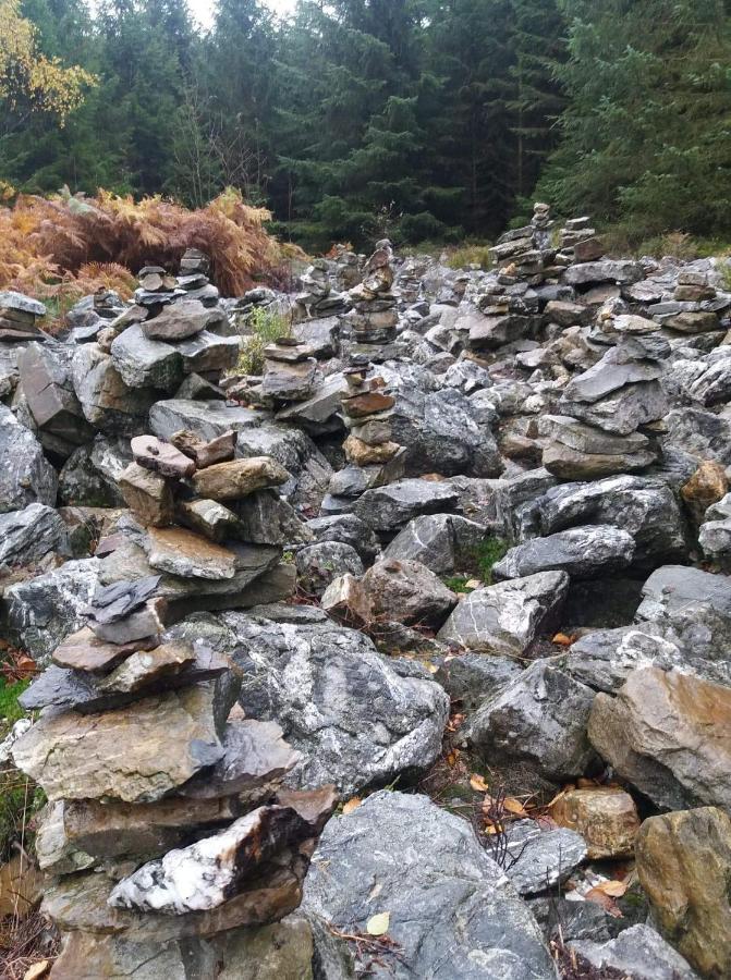 Au Coin Des Fagnes Daire Jalhay Dış mekan fotoğraf
