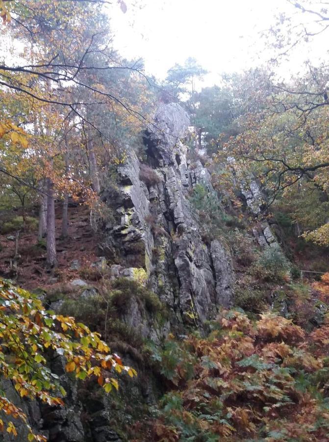 Au Coin Des Fagnes Daire Jalhay Dış mekan fotoğraf